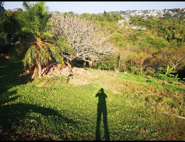 LAND FOR SALE IN CLARE HILLS